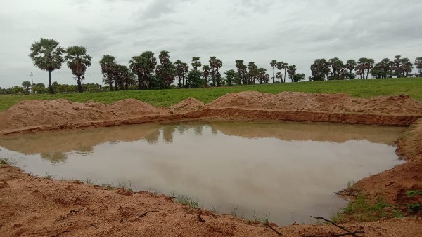 ಯಾದಗಿರಿ, ನೀರು, ಬಾಲಕರು ಸಾವು, ಕುರಿಗಾಹಿ, Yadagiri, water, death of children, shepherd,
