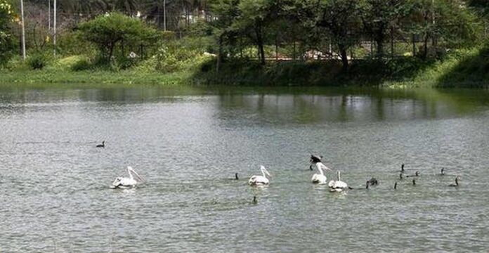 ಕೆರೆ