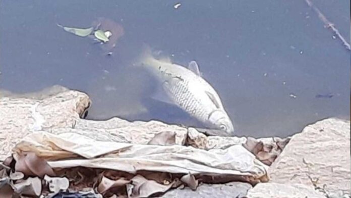 ಕೆರೆ