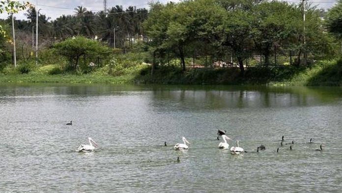 ಕೆರೆಗಳು