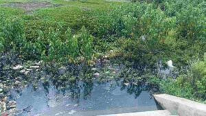 ಕೊಳಚೆ ಯುಜಿಡಿ 2