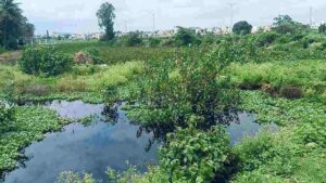 ಕೊಳಚೆ ಯುಜಿಡಿ 3