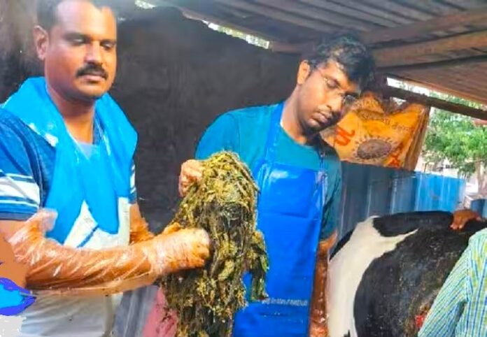 ಕೋಲಾರ