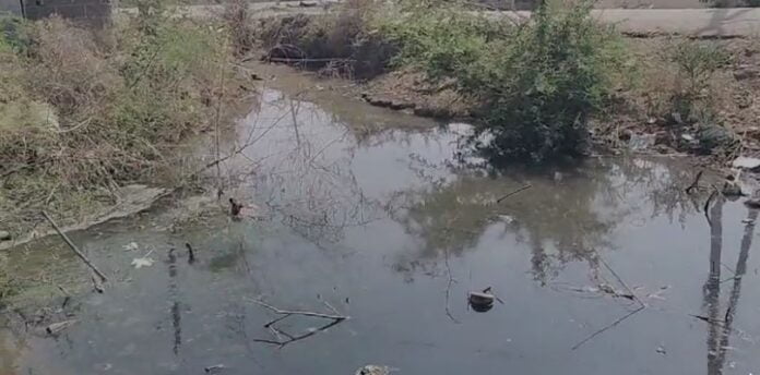 ಗಬ್ಬೆದ್ದು ನಾರುತ್ತಿರುವ ಚರಂಡಿ