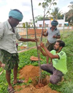 ಗಿಡ 