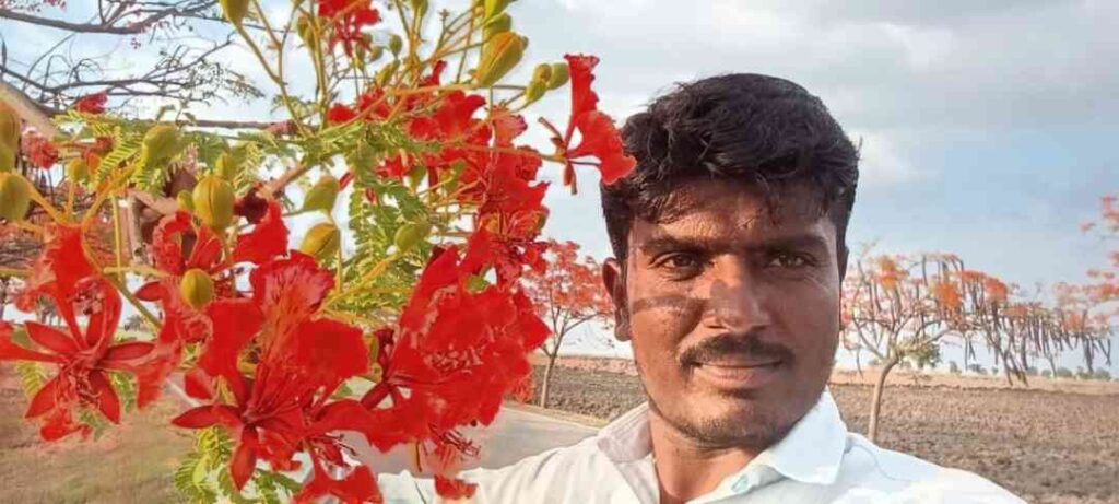 ಗುಲ್‌ ಮೊಹರ್‌ 2