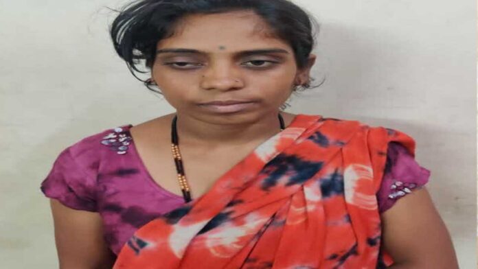 ಚಾಲಾಕಿ ಕಳ್ಳಿ