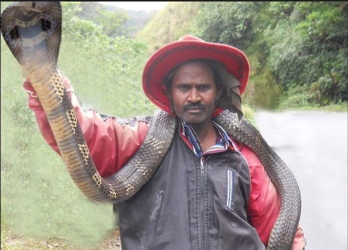 ಚಿಕ್ಕಮಗಳೂರು
