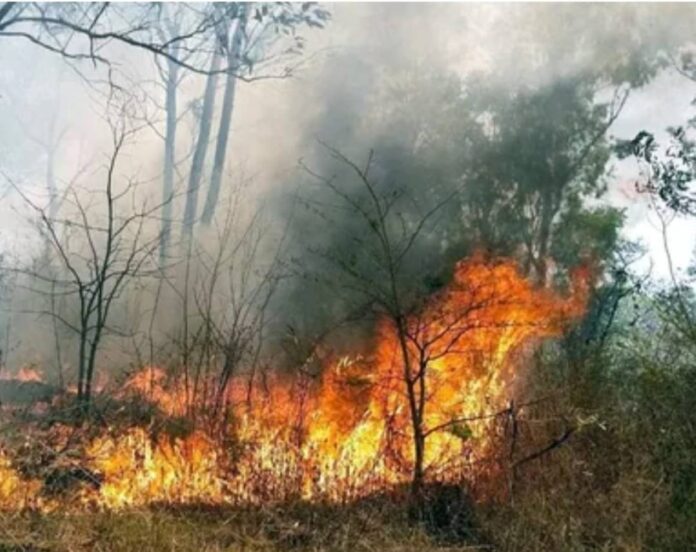 ಚಿತ್ರದುರ್ಗ