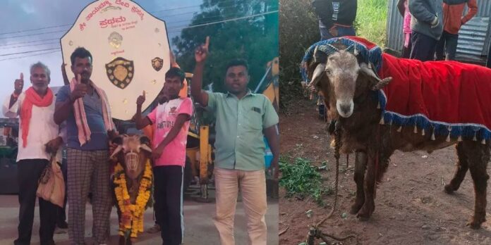 ಜಯಸಿಂಹ ಟಗರು ₹5 ಲಕ್ಷಕ್ಕೆ ಮಾರಾಟ