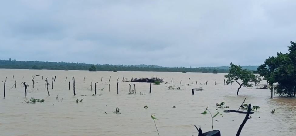 ಜಲಾವೃತ ಗದ್ದೆಗಳು