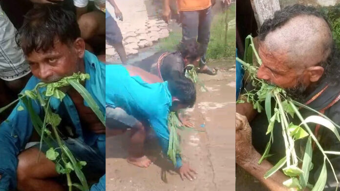 ಜಾತಿ ವಿಕೃತಿ, ದಲಿತ ಯುವಕ, ಜಾತಿ ದೌರ್ಜನ್ಯ, ಒಡಿಶಾ, ಬಿಜೆಪಿ, ಬಜರಂಗದಳ, ಹಿಂದುತ್ವ, Caste perversion, Dalit youth, caste atrocities, Odisha, BJP, Bajrang Dal, Hindutva,