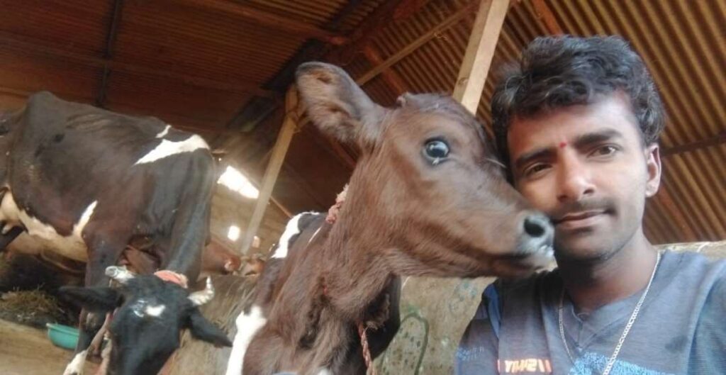 ಜಾನುವಾರುಗಳ ಕಳ್ಳತನ 1