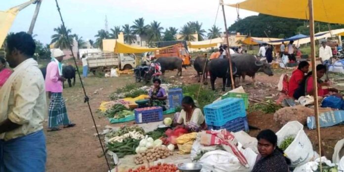 ತರಕಾರಿ ಮಾರುಕಟ್ಟೆಯಲ್ಲಿ ಬೀಡಾಡಿ ದನಗಳ ಹಾವಳಿ