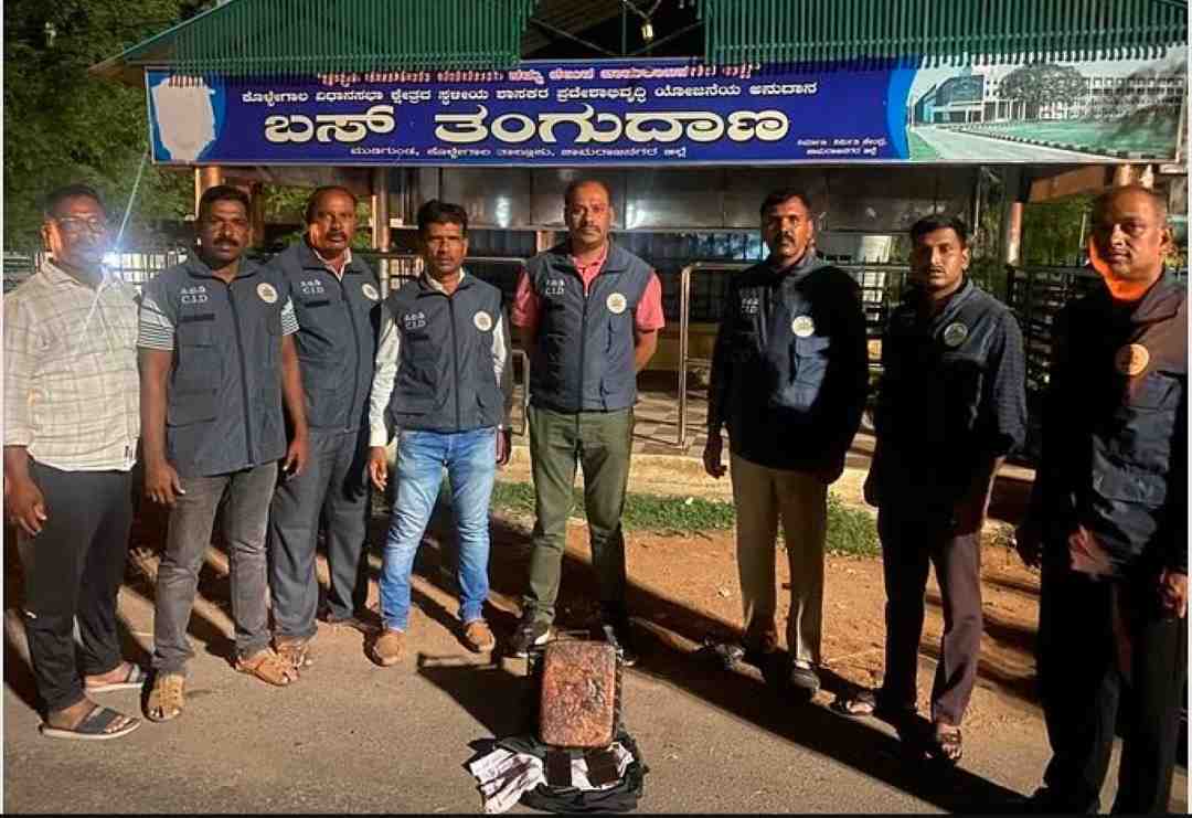 ತಿಮಿಂಗಿಲ ವಾಂತಿ