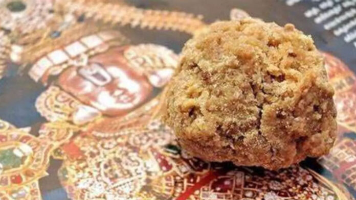 ತಿರುಪತಿ ಲಡ್ಡು, ಲಡ್ಡುನಲ್ಲಿ ಪ್ರಾಣಿಗಳ ಕೊಬ್ಬು, ಸಿಎಂ ಚಂದ್ರಬಾಬು ನಾಯ್ಡು, ವೈಎಸ್‌ಆರ್ ಕಾಂಗ್ರೆಸ್‌, ಜಗನ್ ಮೋಹನ್ ರೆಡ್ಡಿ, ತಿರುಪತಿ, Tirupati Laddu, animal fat in Laddu, CM Chandrababu Naidu, YSR Congress, Jagan Mohan Reddy, Tirupati,