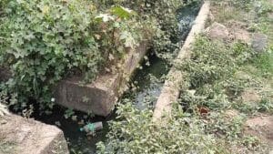 ತೆರೆ 1