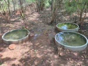 ತೊಟ್ಟಿ