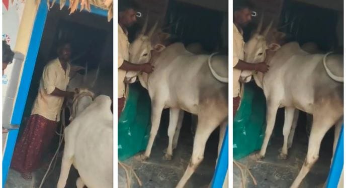 ದನಕಟ್ಟಿ ಪ್ರತಿಭಟನೆ