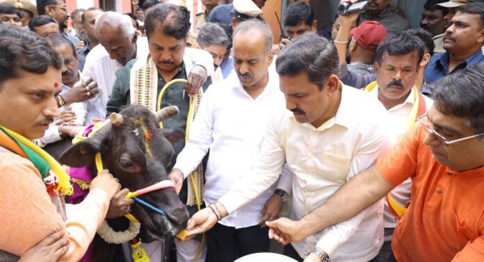 ದನದ ಕೆಚ್ಚಲು