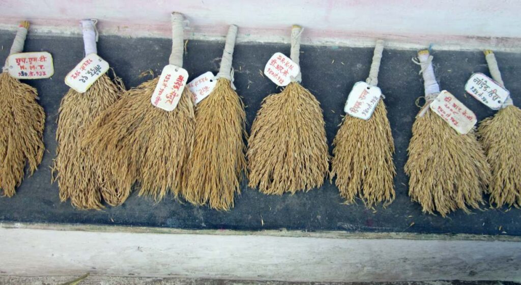 ದಾದಾಜಿ ಖೋಬ್ರಗಡೆ1 1