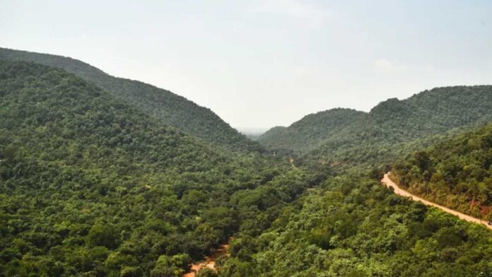 ದೇವದಾರಿ