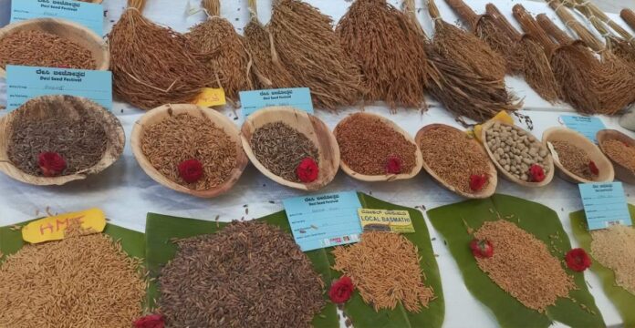 ದೇಸಿ ಬೀಜಗಳು