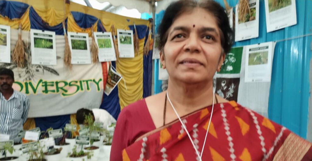 ದೇಸಿ ಬೀಜಗಳು ಅನಿತಾ