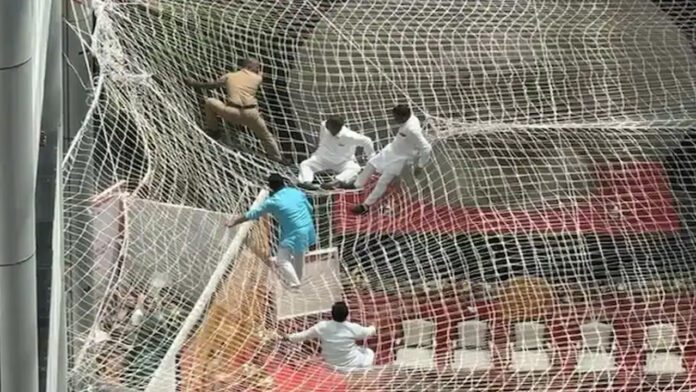 ಧನಗರ್ ಸಮುದಾಯ