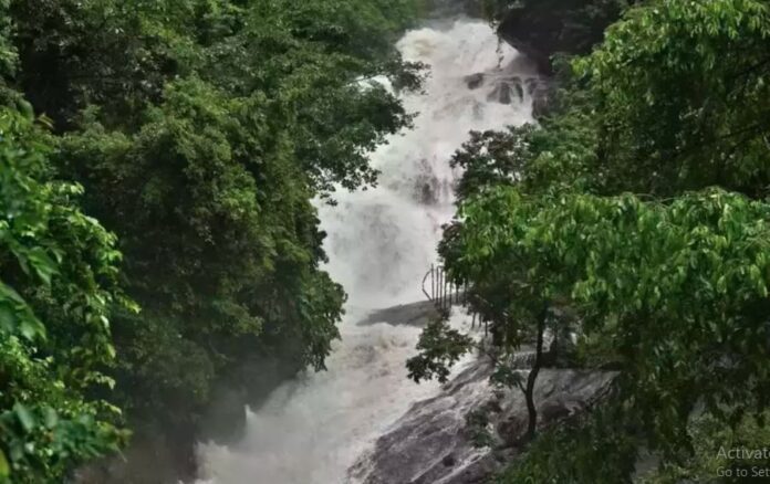 ಧನುಷ್ಕೋಟಿ ಜಲಪಥೋತ್ಸವ
