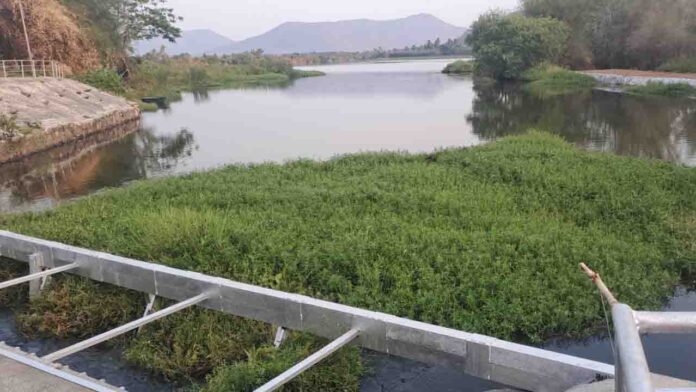 ನೀರು ಕಾವೇರಿ