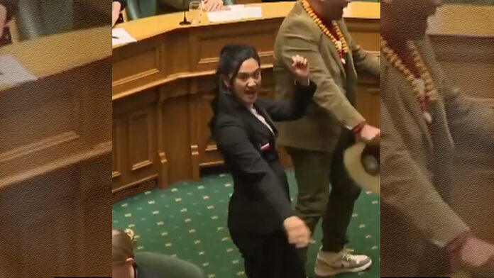 ನ್ಯೂಜಿಲೆಂಡ್‌, ಮಸೂದೆ, ಸಂಸದೆ ಪ್ರತಿಭಟನೆ, New Zealand, bill, MP protest,