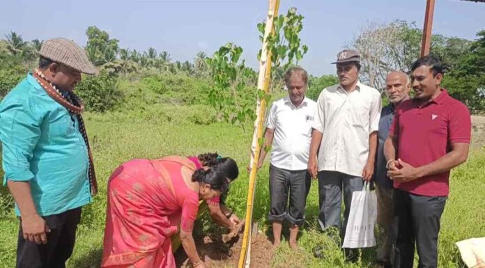 ಪರಿಸರ ಸಂರಕ್ಷಣೆ
