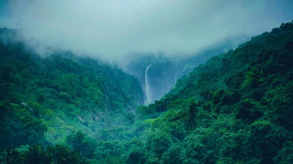 ಪಶ್ಚಿಮ ಘಟ್ಟಗಳು