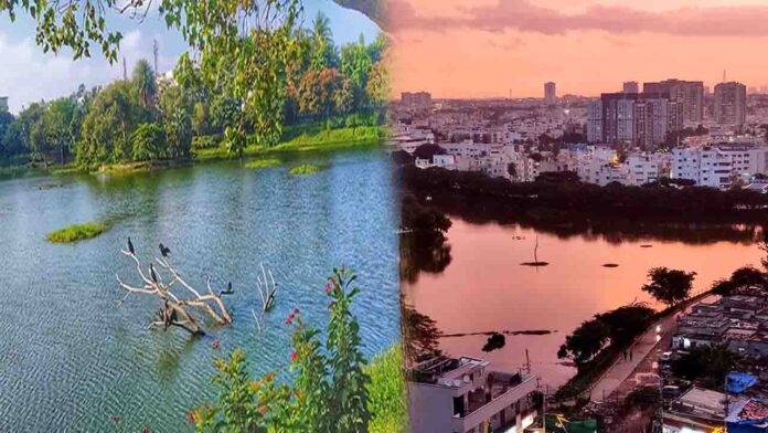 ಪುಟ್ಟೇನಹಳ್ಳಿ ಕೆರೆ