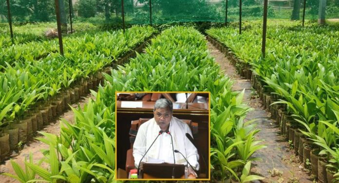 ಬಜೆಟ್_
