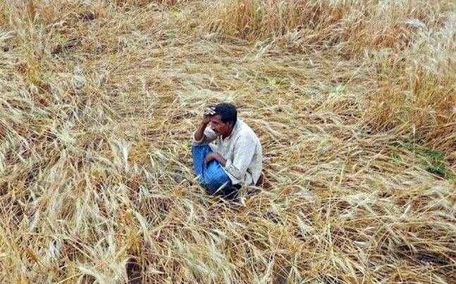 ಬರಗಾಲಕ್ಕೆ ಕಂಗಾಲದ ರೈತರು