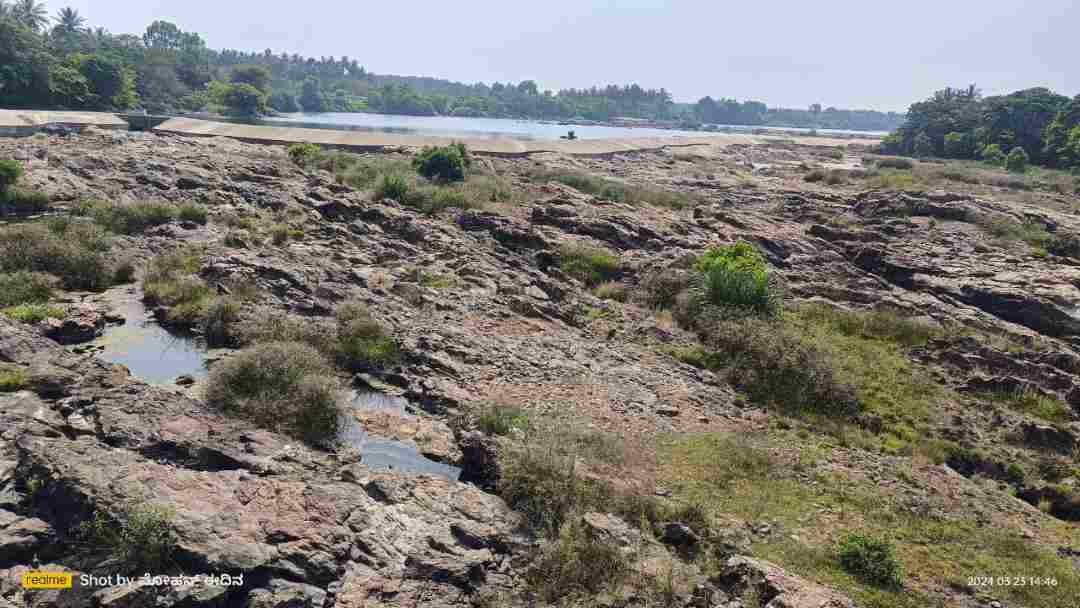 ಬರಿದಾದ ಕಾವೇರಿ ಒಡಲು 1 1