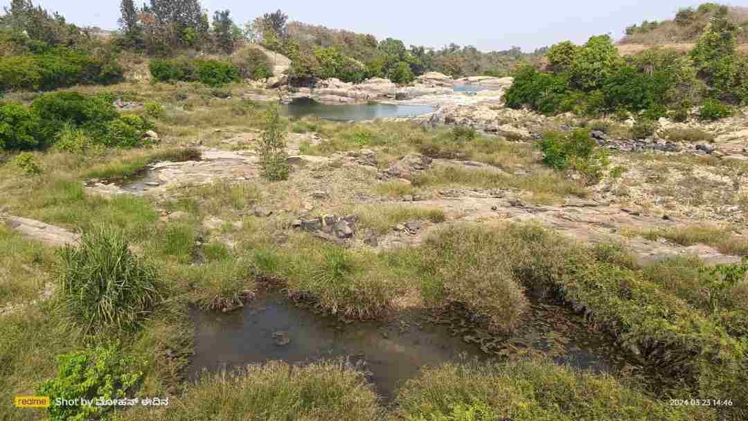 ಬರಿದಾದ ಕಾವೇರಿ ಒಡಲು