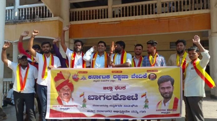 ಅಮುಲ್‌ ಉತ್ಪಾದನೆ ಸ್ಥಗಿತಗೊಳಿಸುವಂತೆ ಬಾಗಲಕೋಟೆ ಪಟ್ಟಣದಲ್ಲಿ ಪ್ರತಿಭಟನೆ