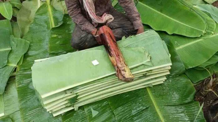 ಬಾಳೆ ಎಲೆ
