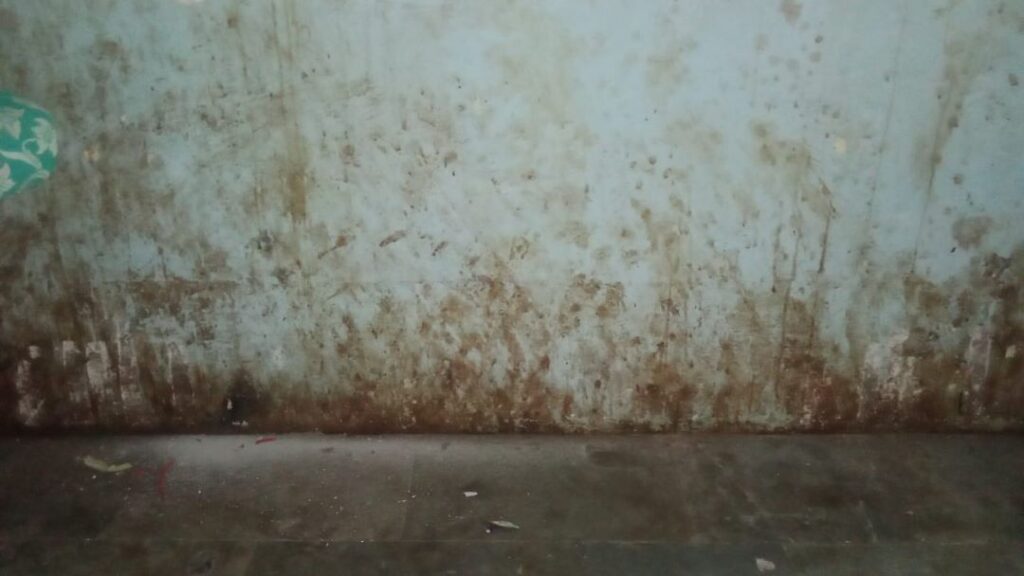 ಬಿಸಿಎಂ ಹಾಸ್ಟೆಲ್‌