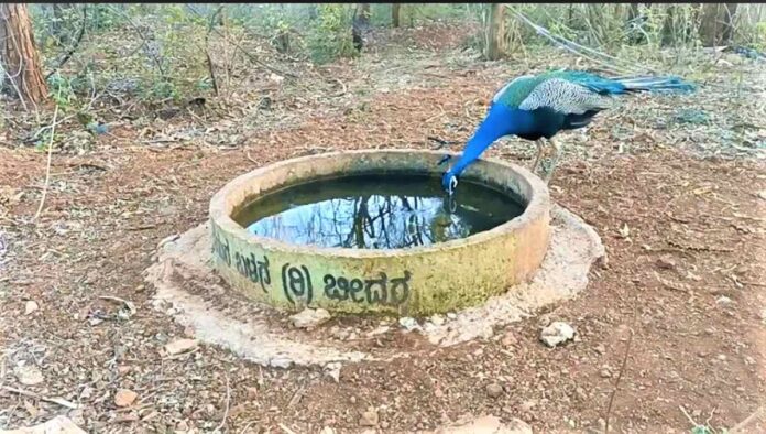 ಬೀದರ್‌