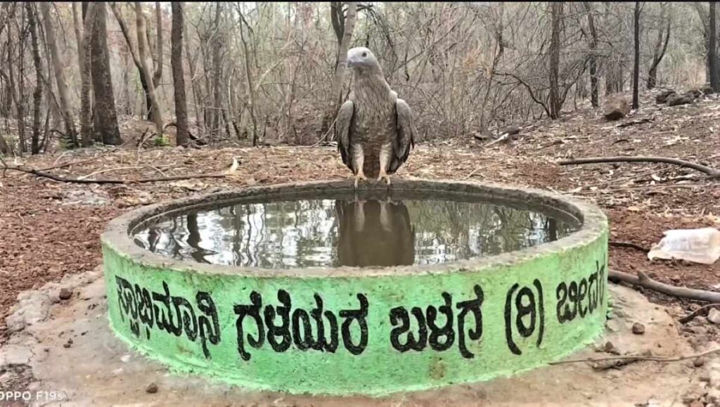 ಬೀದರ್‌
