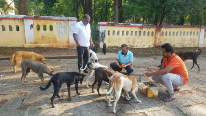 ಬೀದಿ ನಾಯಿಗಳಿಗೆ ಆಹಾರ ಬಿಬಿಎಂಪಿ ಮಾರ್ಗಸೂಚಿ