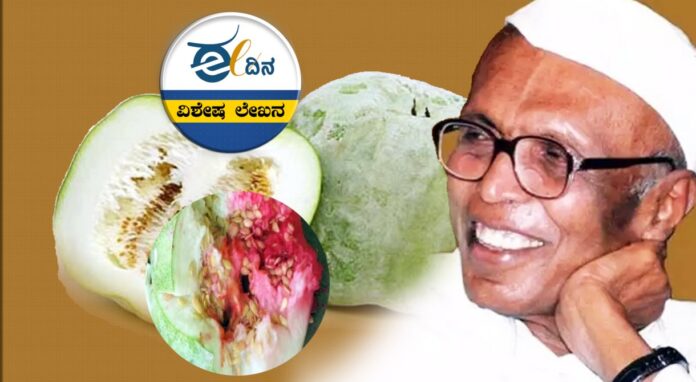 ಬೂದುಗುಂಬಳಕಾಯಿ