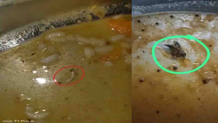 ಬೆಂವಿವಿ