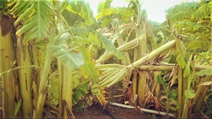 ಬೆಳಗಾವಿ