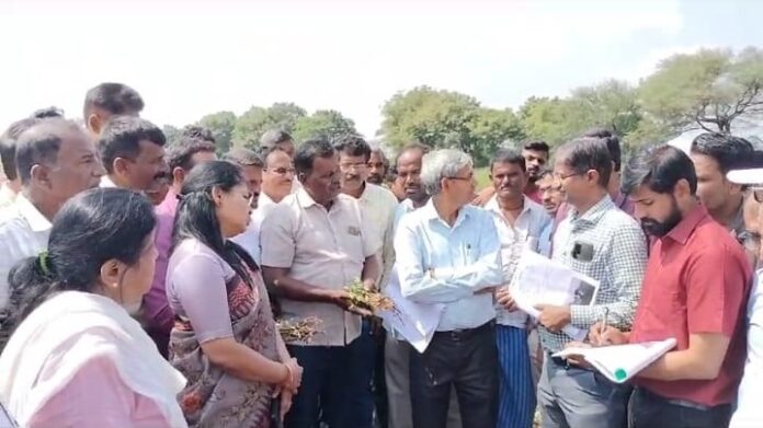 ಬೆಳೆ ಪರಿಶೀಲನೆ