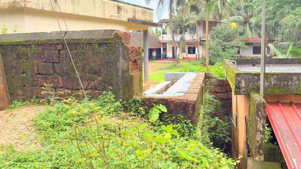 ಬೋಳಿಯಾರ್